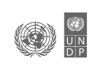 UNDP